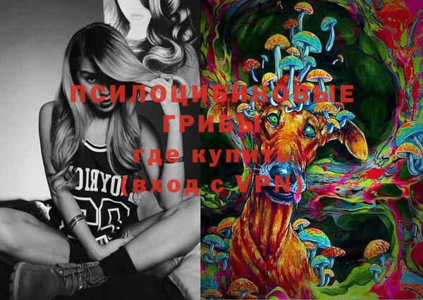 2c-b Алзамай